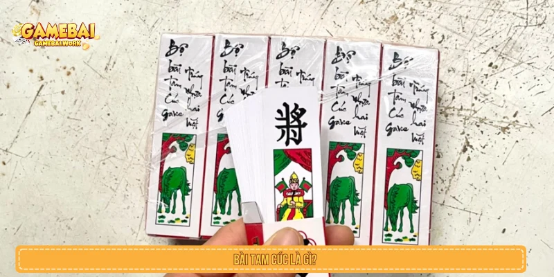 Tìm hiểu bài Tam Cúc là gì